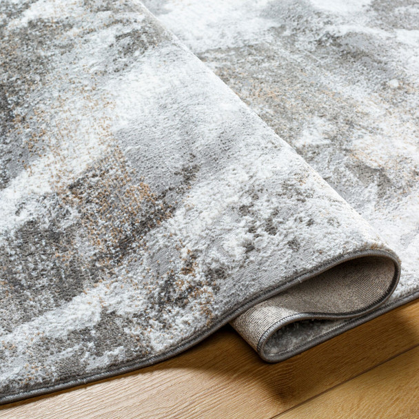 LivaBliss Allegro ALG-2336 Rug
