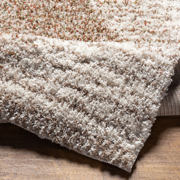 LivaBliss Capella shag CPS-2301 Area Rug