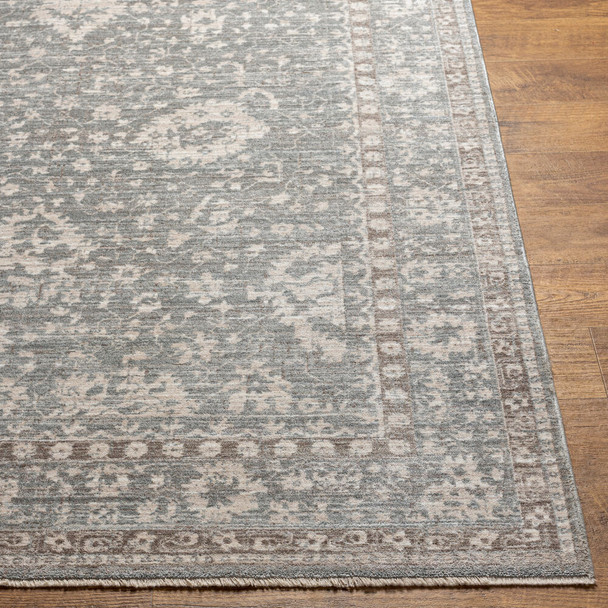 Surya Carlisle CSI-2309 Area Rug