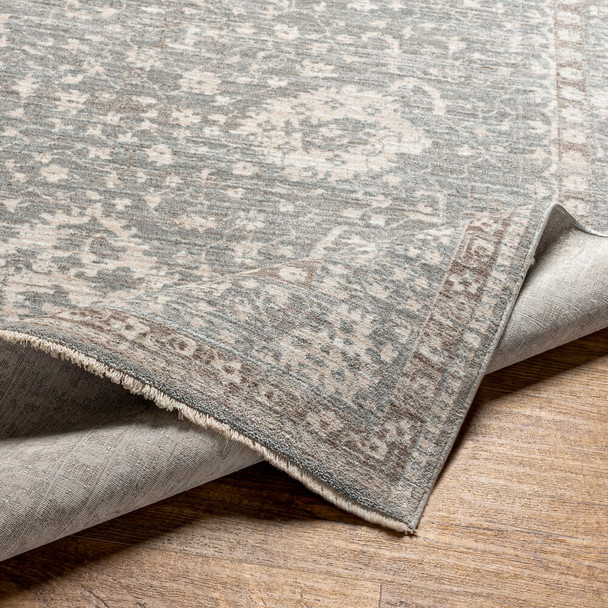 Surya Carlisle CSI-2309 Area Rug