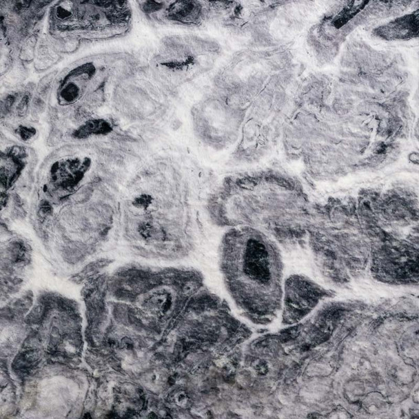 Dalyn Kikiamo KK14 Marble Rug
