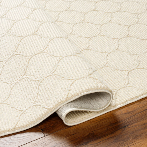 Livabliss Alder ALD-2307 Rug