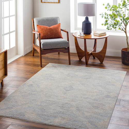 Livabliss Avant Garde AVT-2356 Rug