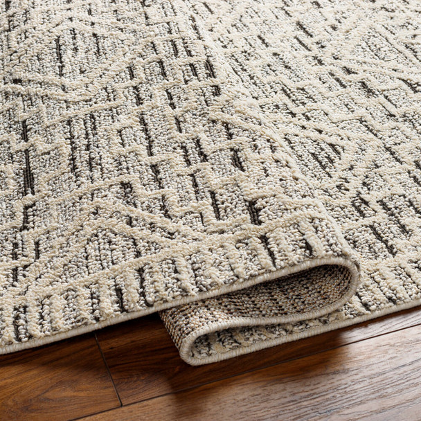 LivaBliss Berlin BLR-2300 Area Rug