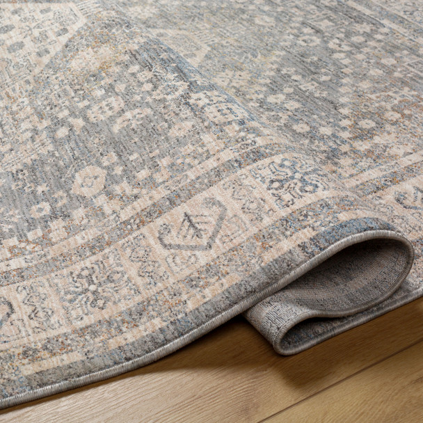 Livabliss Chicago CHG-2318 Area Rug