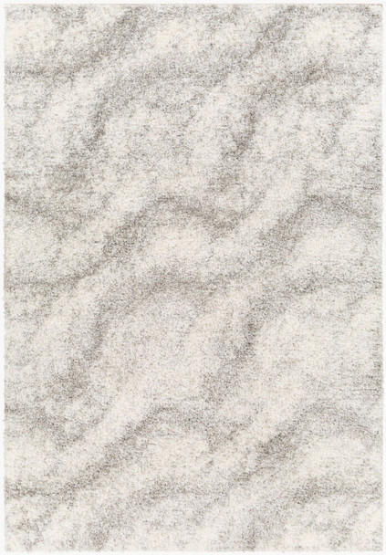 LivaBliss Cloudy shag CDG-2306 Rug