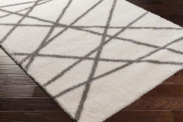 Livabliss Cloudy shag CDG-2316 Area Rug