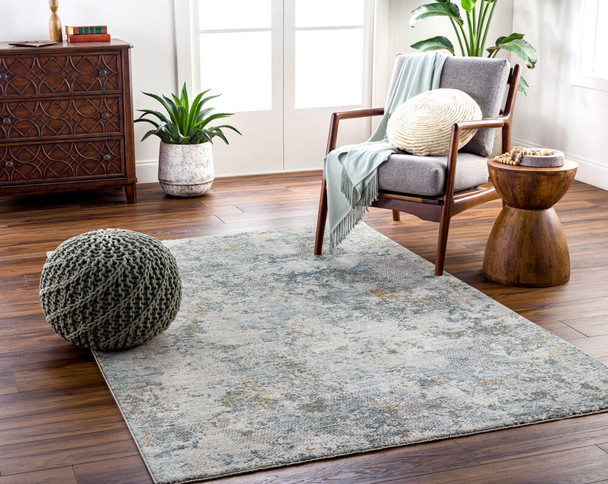 LivaBliss Dresden DRE-2302 Rug
