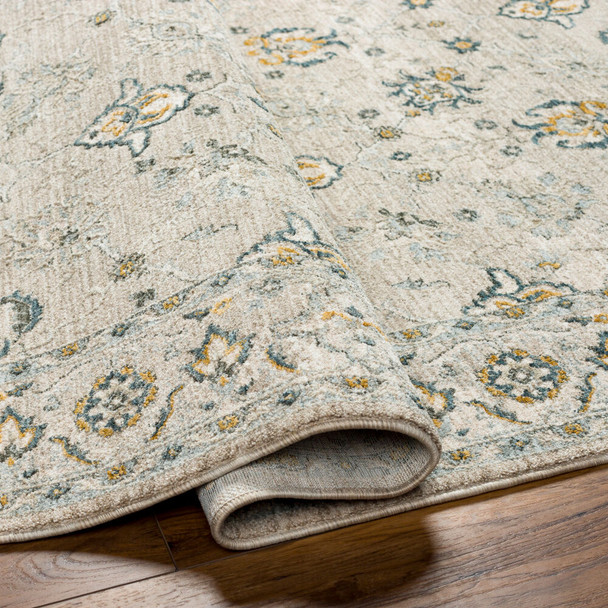 Livabliss Dresden DRE-2311 Rug