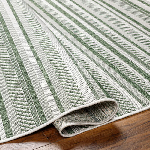 LivaBliss Eagean EAG-2422 Rug