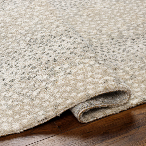 Livabliss Gavic GVC-2313 Rug