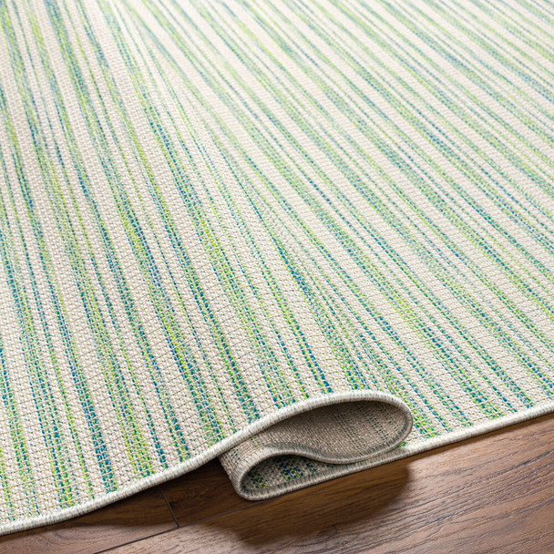 LivaBliss Hampton HPT-2307 Area Rug