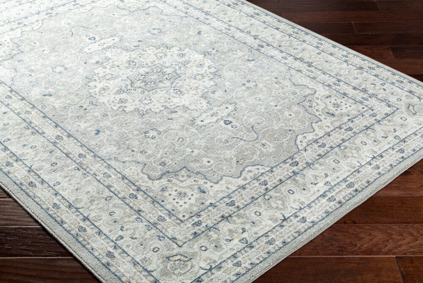 Livabliss Hera HRH-2309 Area Rug