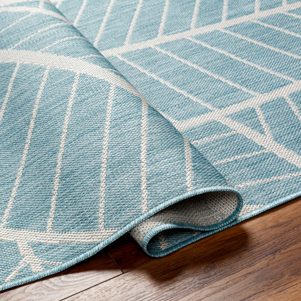 LivaBliss Long beach LBH-2303 Area Rug