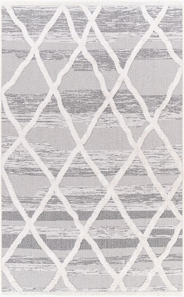 Livabliss Morocotton MCT-2306 Area Rug
