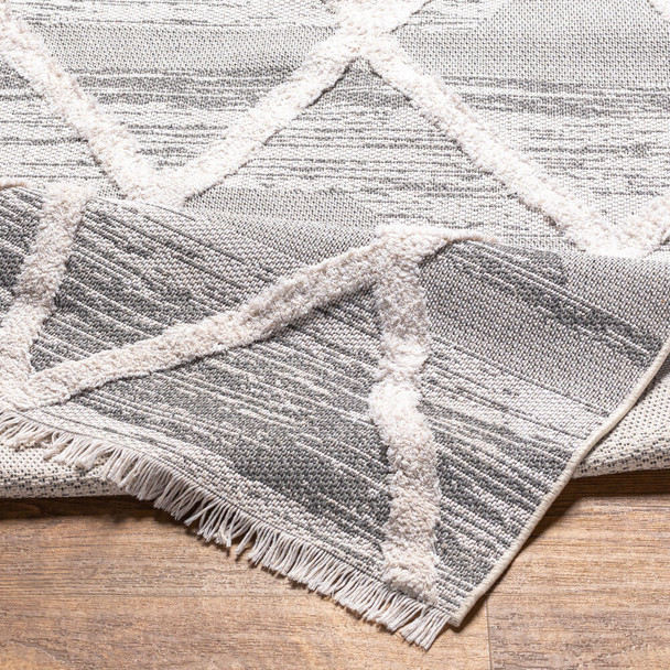 Livabliss Morocotton MCT-2306 Area Rug