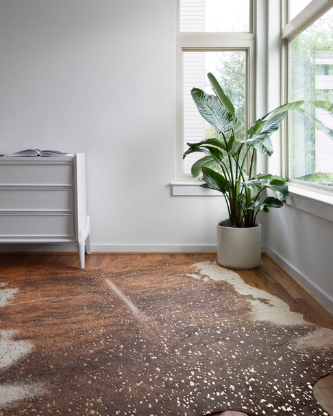 Loloi Bryce BZ-10 Walnut Champagne Rug