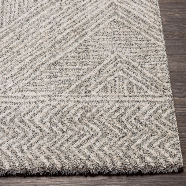 Livabliss Gavic GVC-2300 Rug