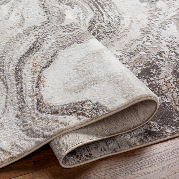 Livabliss Allegro ALG-2319 Area Rug