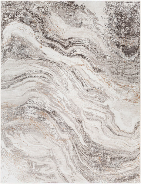 Livabliss Allegro ALG-2319 Area Rug