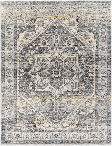 Surya Chicago CHG-2316 Area Rug