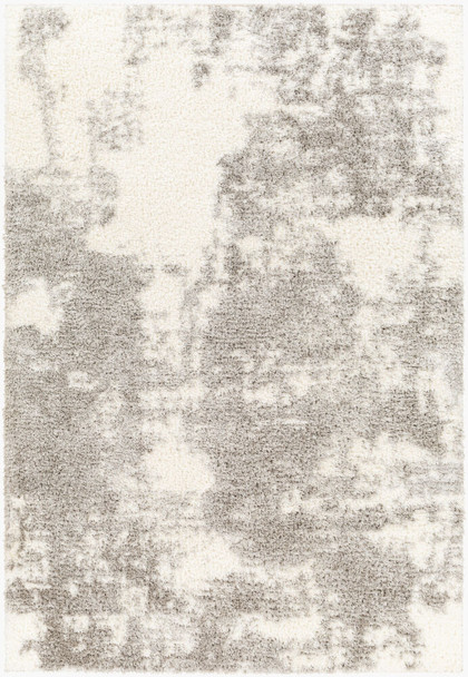 LivaBliss Cloudy shag CDG-2318 Area Rug