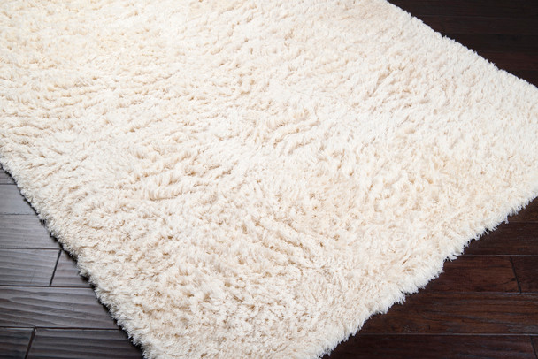 Ashton ASH - 1300 Rug by Surya