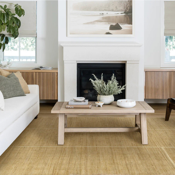 Momeni Pure Salt Palma PMA-1 Natural Rug