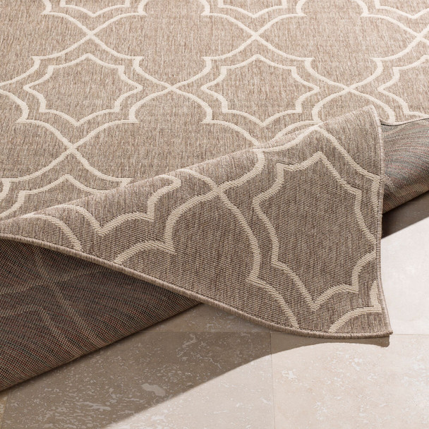 Livabliss Alfresco ALF-9587 Rug