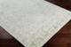 Livabliss Shelby SBY-1002 Rug