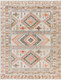 Livabliss Ankara AKR-2336 Area Rug