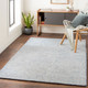 LivaBliss Halcyon HCY-2302 Area Rug