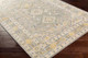 Livabliss City Light CYL-2320 Rug