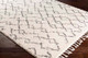Livabliss Berber Shag BBE-2301 Rug