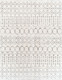 LivaBliss Aliyah shag ALH-2302 Rug