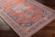 Livabliss Colin CLN-2306 Rug