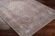 Livabliss Colin CLN-2312 Rug