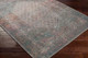Livabliss Colin CLN-2311 Rug