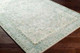 Livabliss Erin ERN-2309 Rug