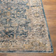 Livabliss Aspendos APS-2314 Rug