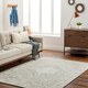 Livabliss Addyson AYO-2303 Area Rug