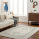 LivaBliss Addyson AYO-2304 Area Rug
