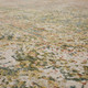 Karastan Memento R1179 245 Relic Beige Rug