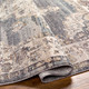 Livabliss Aida AAD-2300 Rug