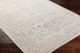 Livabliss Alpharetta APH-2304 Rug