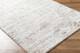 Livabliss Andorra Plus ARP-2305 Rug