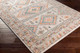 LivaBliss Ankara AKR-2336 Rug