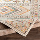 LivaBliss Ankara AKR-2336 Rug