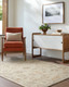 LivaBliss Arnold AOD-2305 Rug