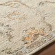 LivaBliss Arnold AOD-2305 Rug